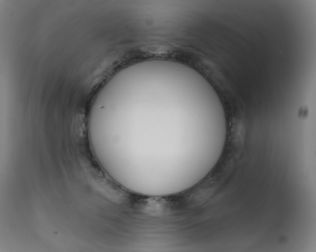 X0000111610612200907311140