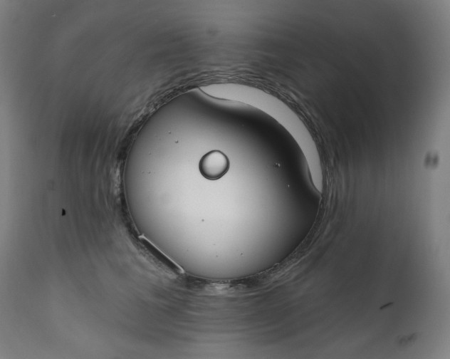 X0000111610613200907311140