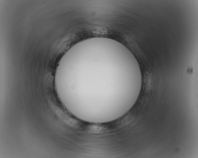 X0000111610614200907311140