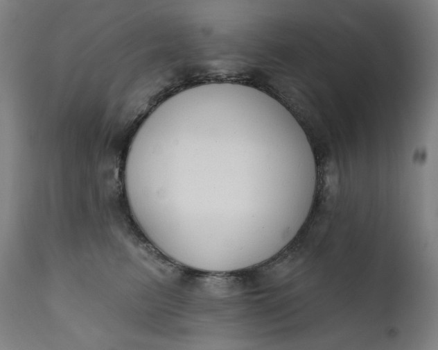 X0000111610615200907311140