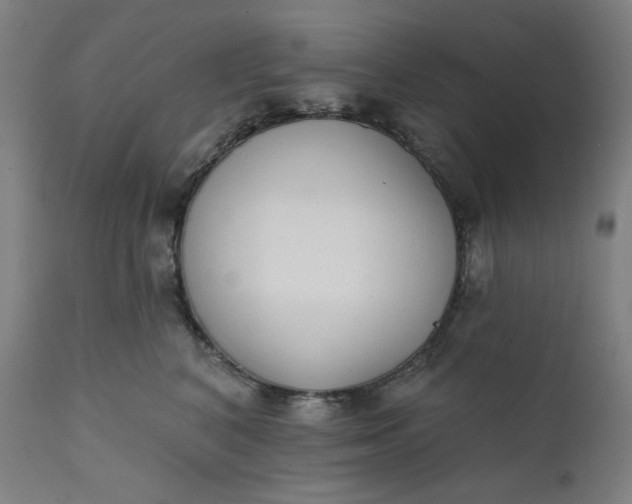 X0000111610616200907311140