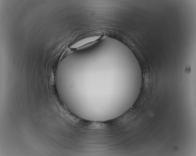 X0000111610617200907311140