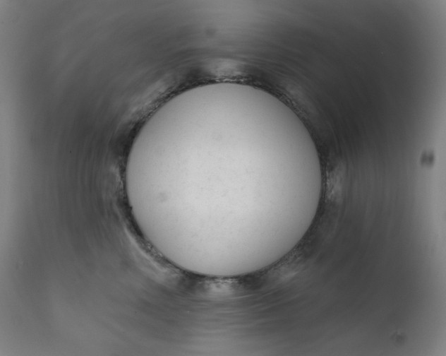 X0000111610618200907311140