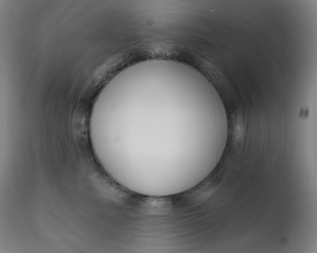 X0000111610619200907311140