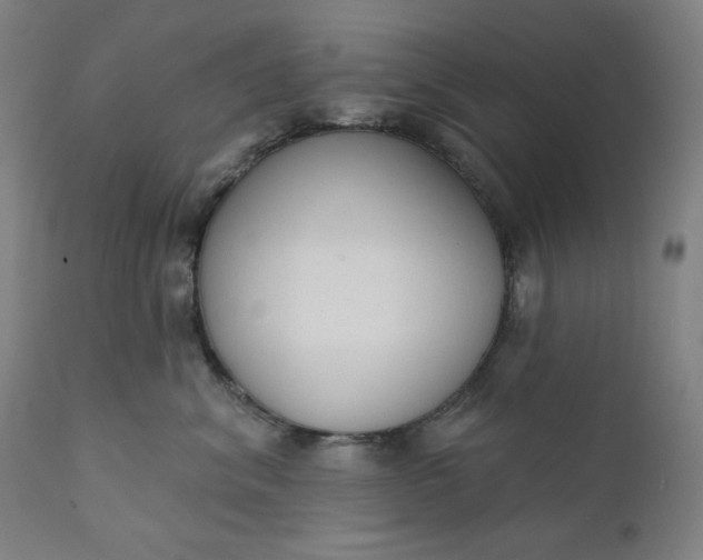 X0000111610620200907311140