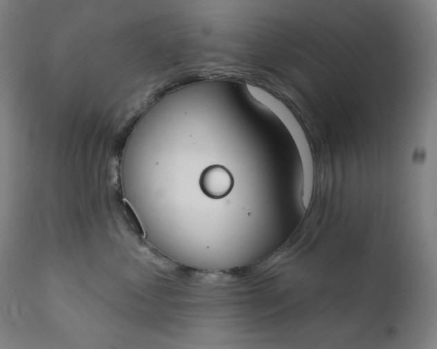 X0000111610621200907311140