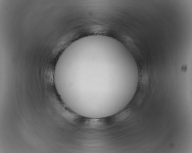 X0000111610622200907311140