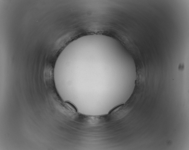 X0000111610623200907311140