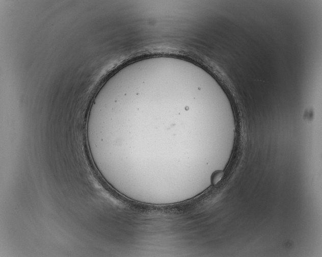 X0000111610625200907311139