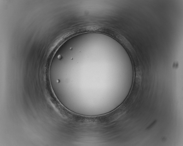 X0000111610626200907311139