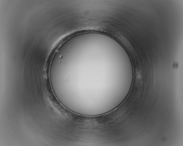 X0000111610628200907311140