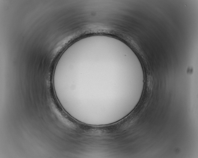 X0000111610629200907311140