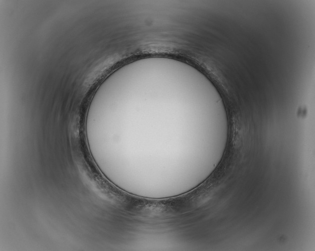 X0000111610631200907311140