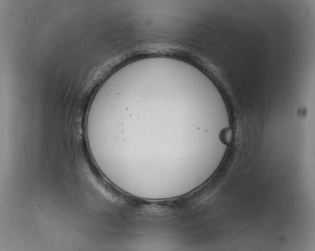 X0000111610633200907311140