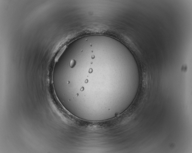 X0000111610634200907311140