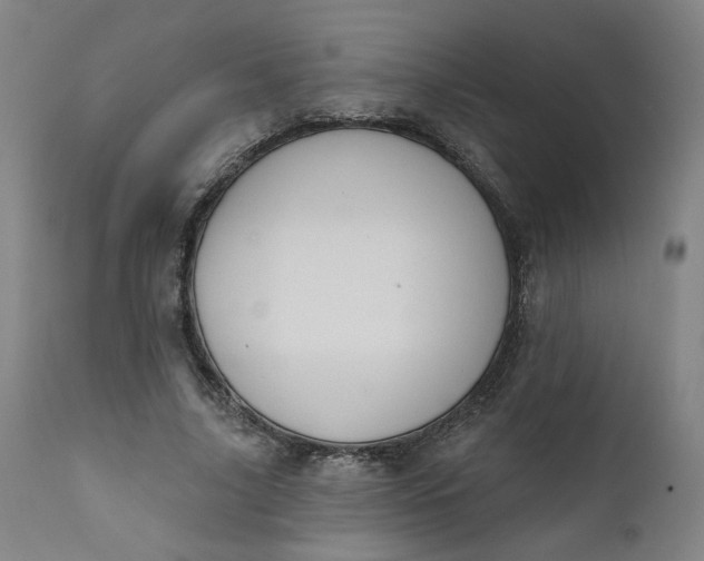 X0000111610635200907311140