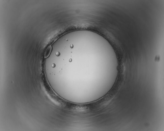 X0000111610638200907311140