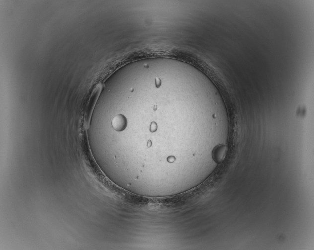 X0000111610641200907311140