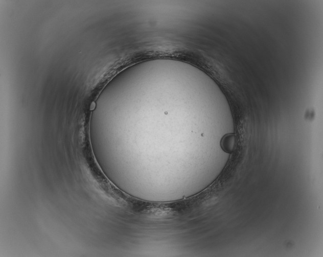 X0000111610642200907311140