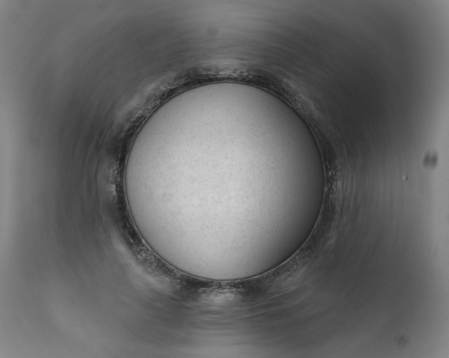 X0000111610643200907311140