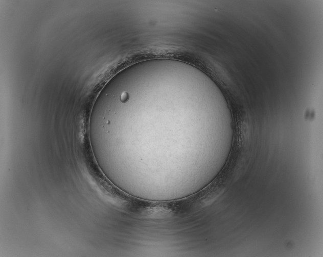 X0000111610644200907311140