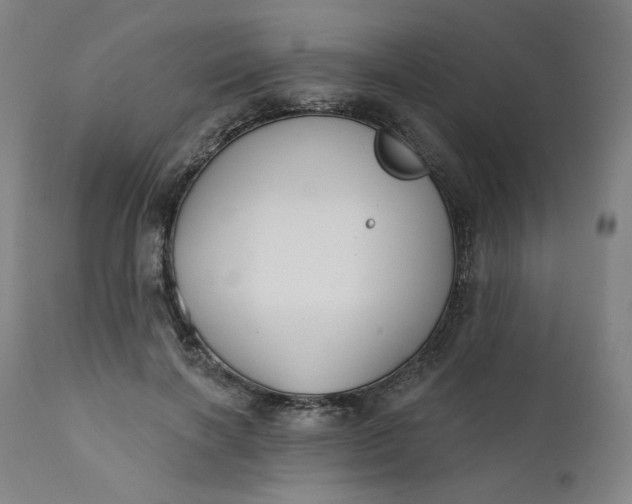 X0000111610646200907311140