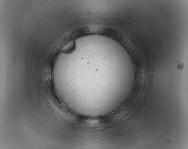 X0000111610651200907311140