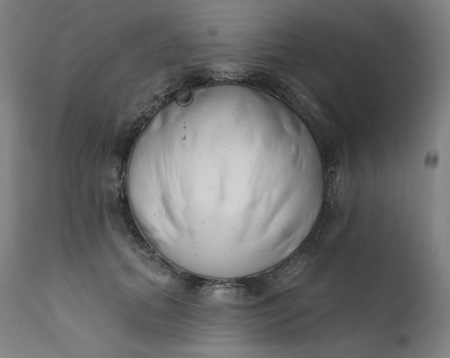 X0000111610655200907311140