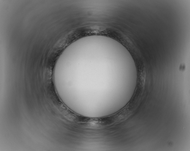 X0000111610657200907311140