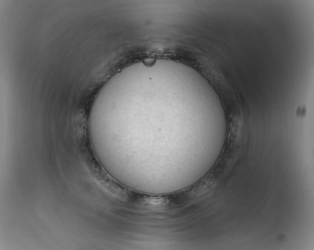 X0000111610659200907311140