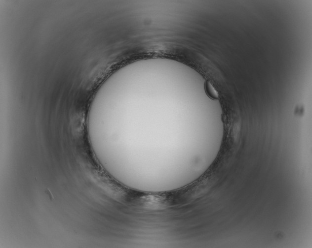 X0000111610660200907311140