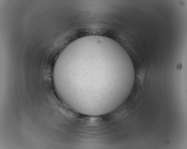 X0000111610663200907311140