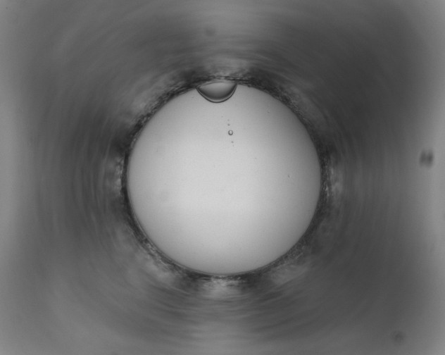 X0000111610664200907311140