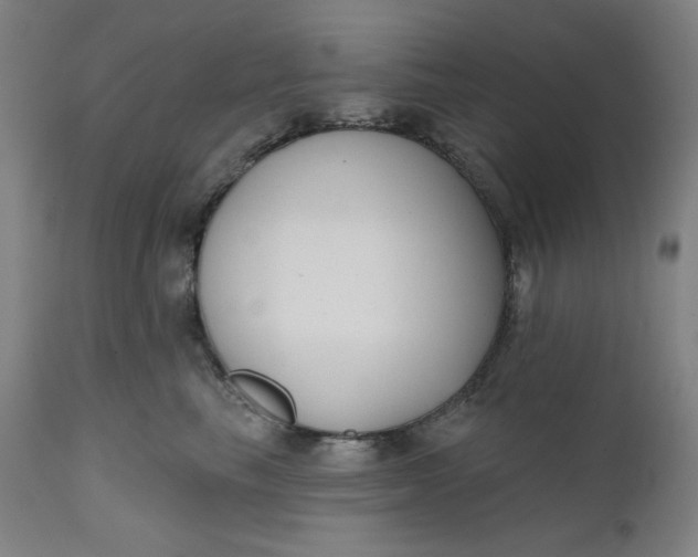 X0000111610665200907311140