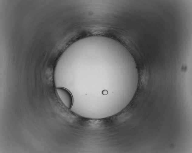 X0000111610667200907311140