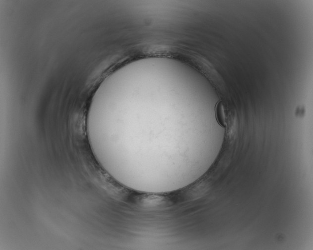 X0000111610669200907311140