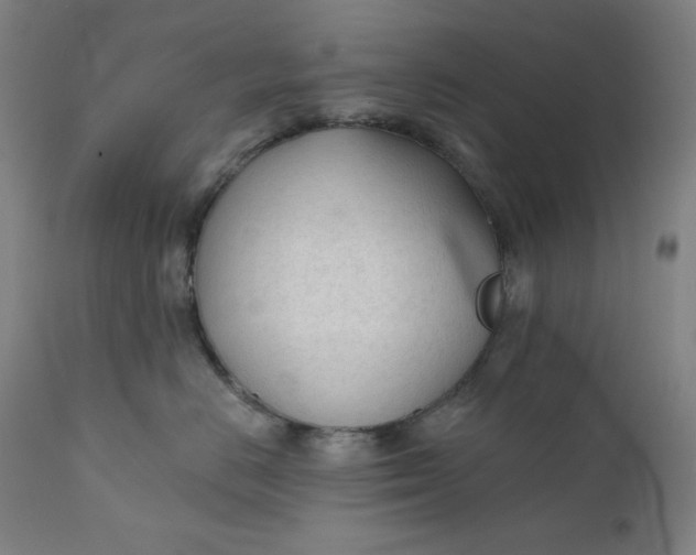 X0000111610670200907311140