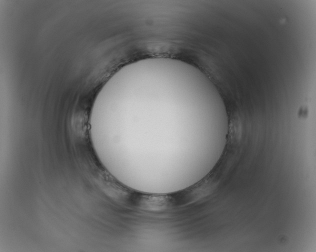 X0000111610671200907311140