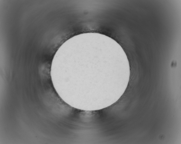 X0000111610672200907311140