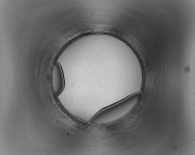 X0000111610673200907311139