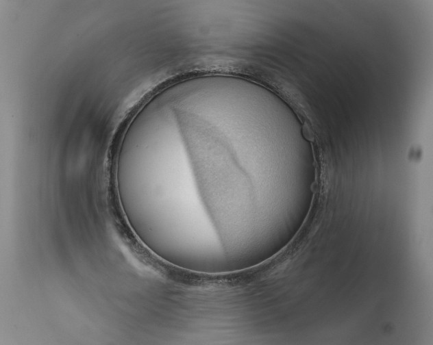 X0000111610674200907311139