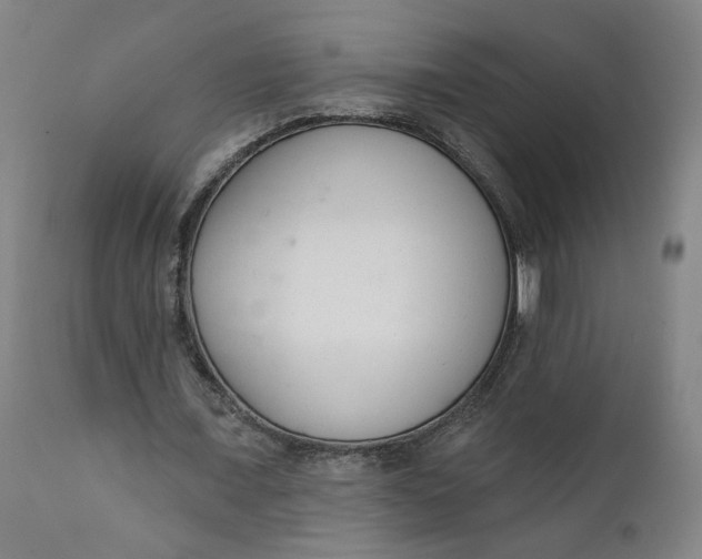 X0000111610675200907311139