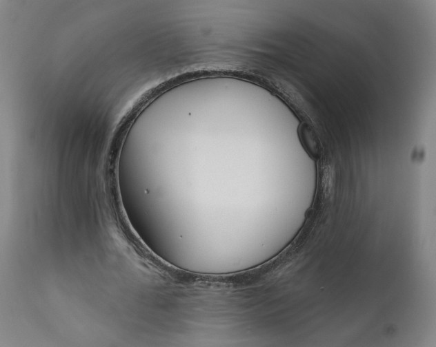 X0000111610676200907311139