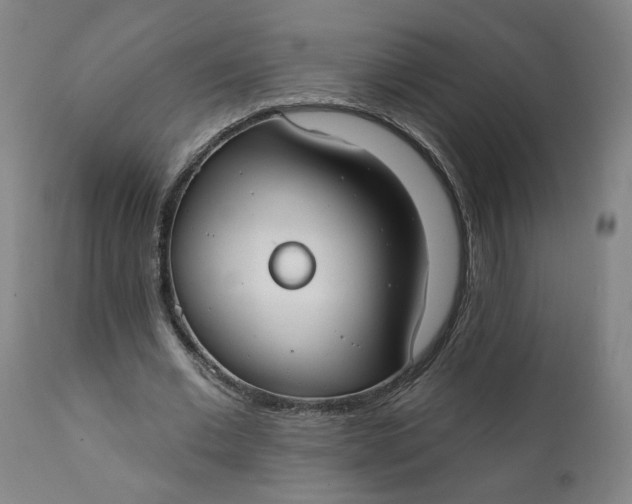 X0000111610677200907311139