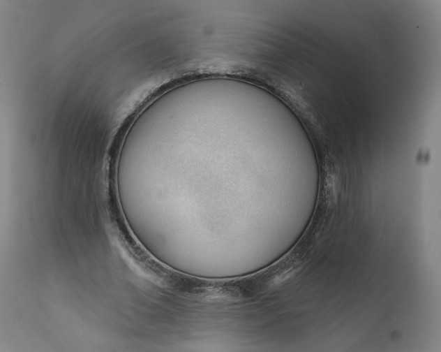 X0000111610678200907311139