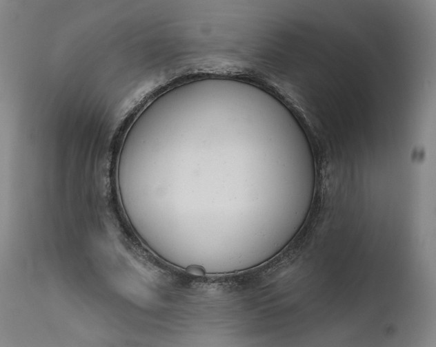 X0000111610679200907311139