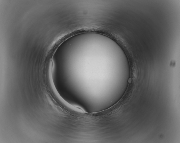 X0000111610684200907311139