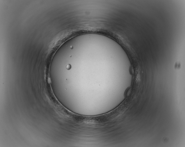 X0000111610685200907311139