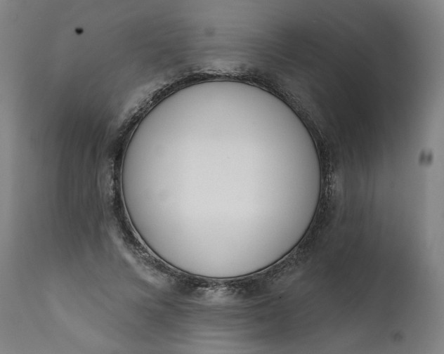 X0000111610688200907311139