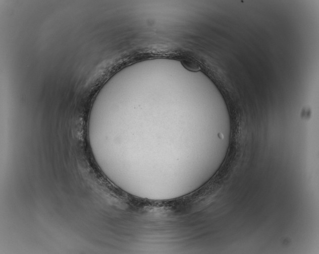 X0000111610689200907311139